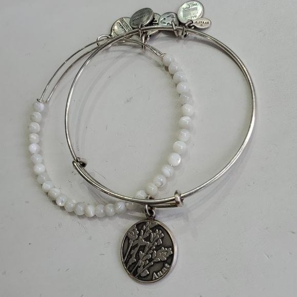 Alex and Ani Aunt Silvertone 2-bracelet Gift Set - Picture 6 of 8